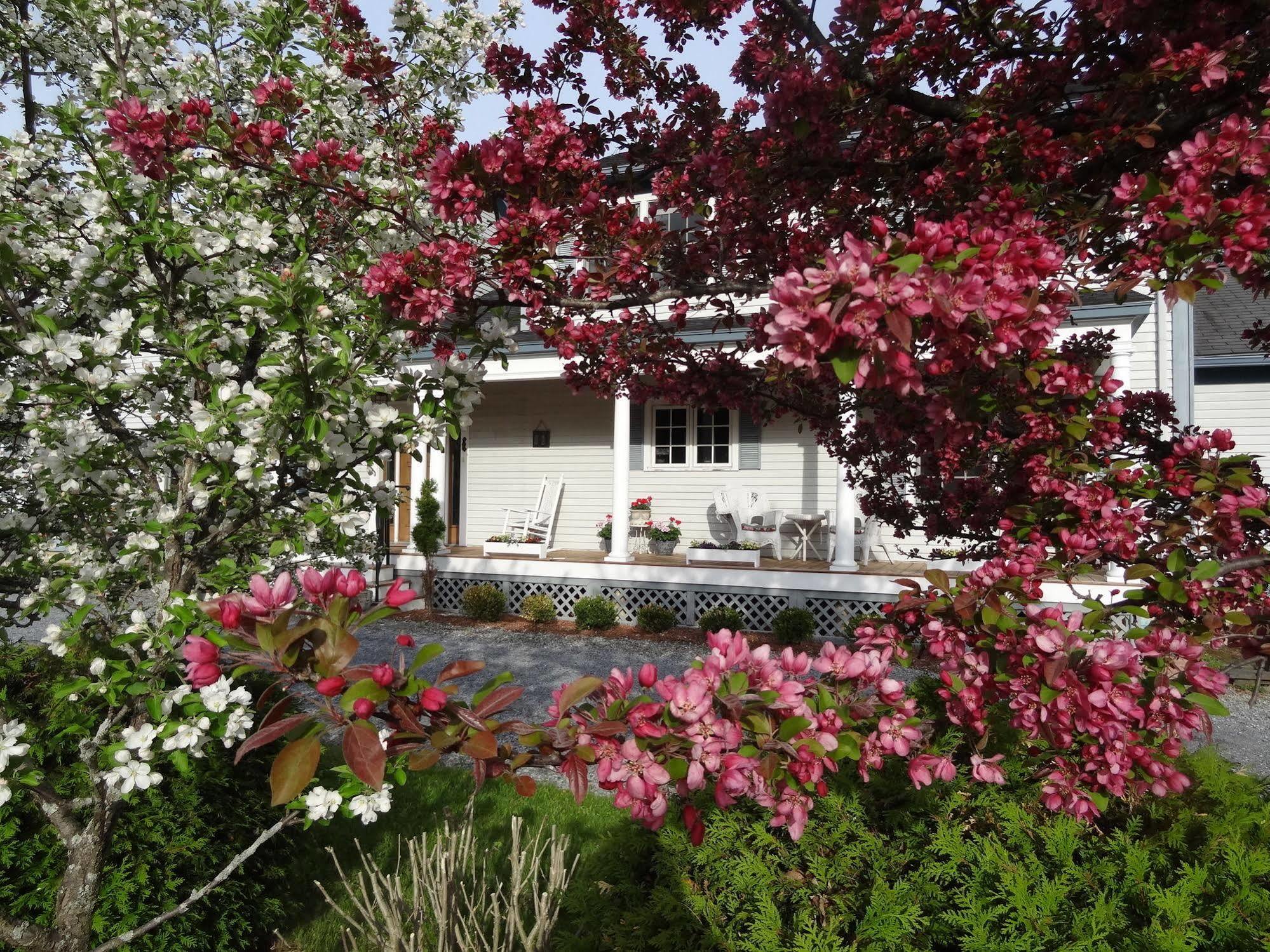 Williston Village Inn Burlington Esterno foto